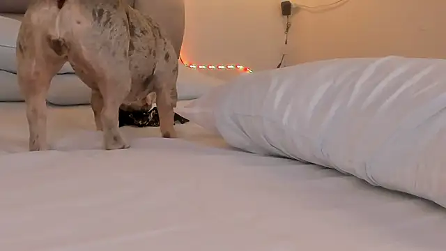 Susan-Sweet-7 webcam