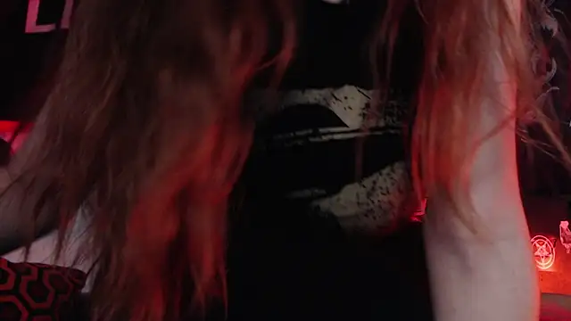 Silentmary webcam