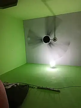 Nehuluthra webcam