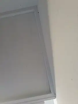 Jazzythorn88 webcam