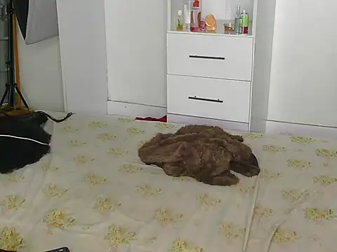 SexyLi_ live webcam show
