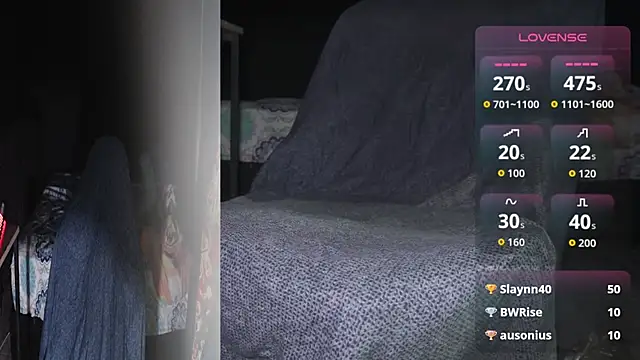 AXEL_AG5 webcam