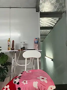 Nana-19 webcam