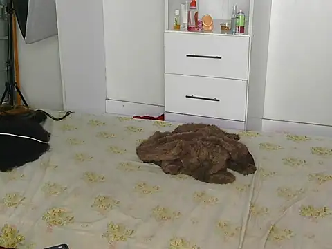 SexyLi_ webcam