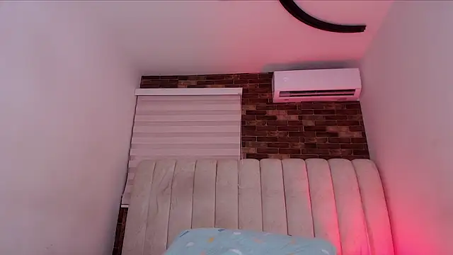 sofi_dv webcam