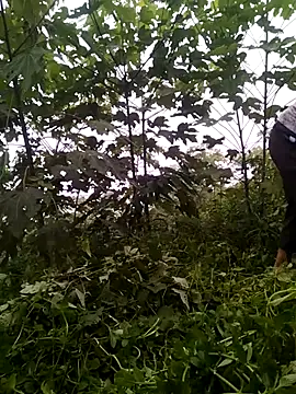 Jadi_M