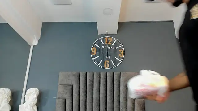 Robin_Rief webcam