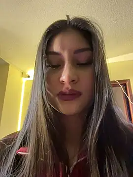 Aylin-fire webcam