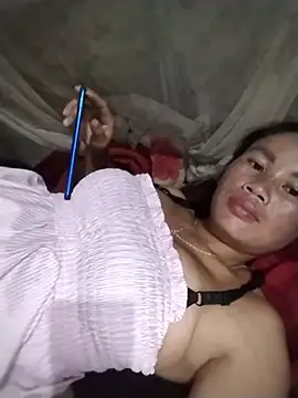 _Lynk_ webcam