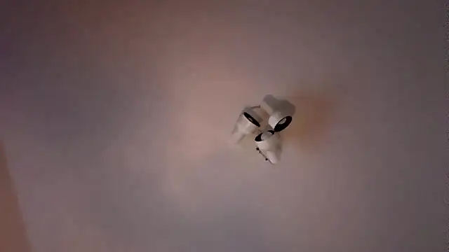 TheOnlyIris webcam