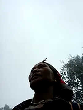 Lily-suny webcam