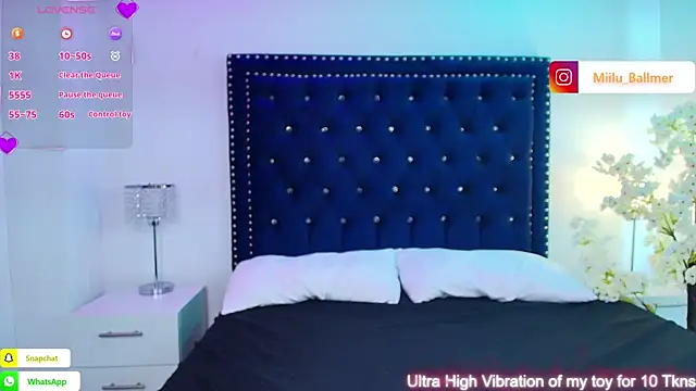 Milu_ballmer webcam