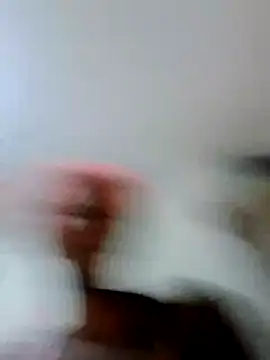 Maridadie webcam