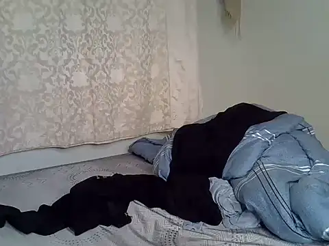 Delmelg webcam