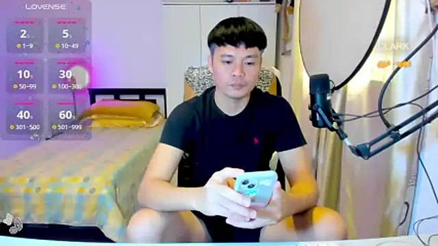 clarkdangerous webcam