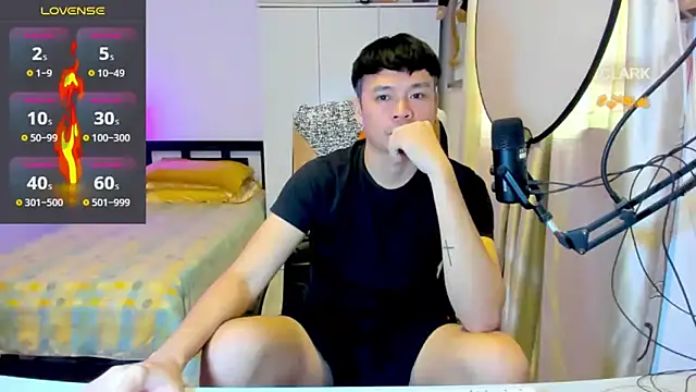 clarkdangerous webcam