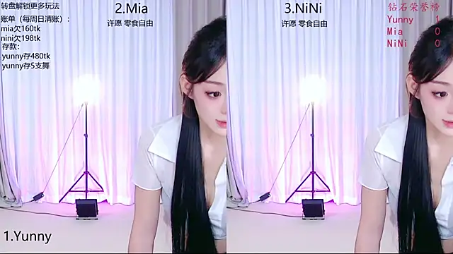 MiNi-U webcam