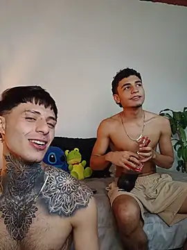 tiancam webcam