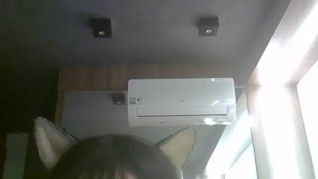 SkinnyKitten webcam