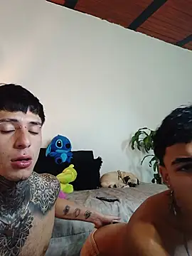 tiancam webcam