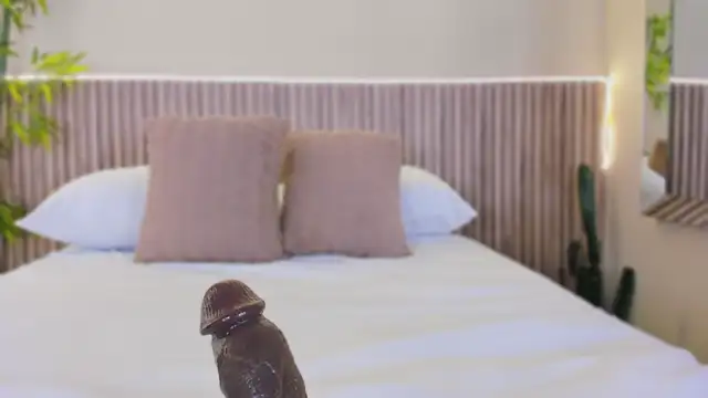 GeorginaReyes live webcam show