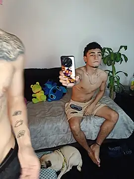 tiancam webcam