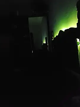 Gasc_1992 webcam