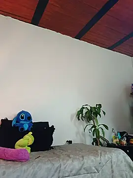 tiancam webcam