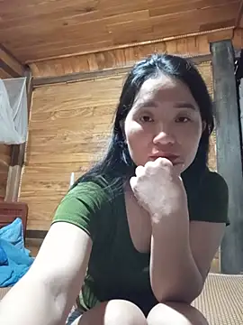 Td3di webcam