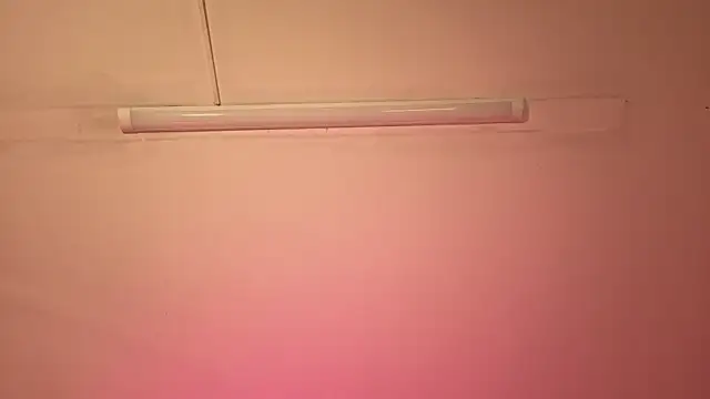 mia_adams_bm webcam