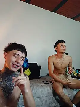 tiancam webcam