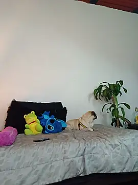 tiancam live cam