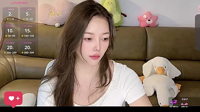 Alin250 webcam