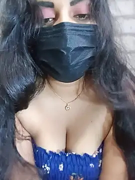 SLNISHU webcam