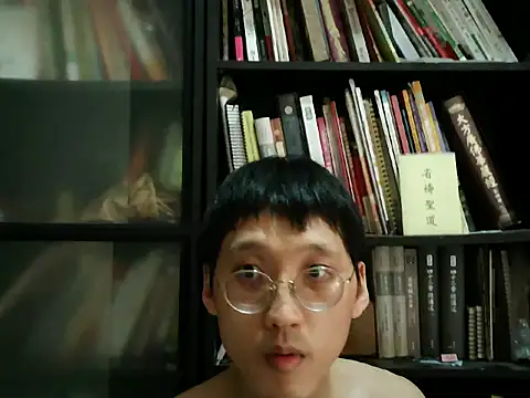 Lv8763 webcam