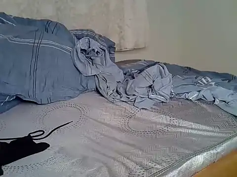 Delmelg webcam