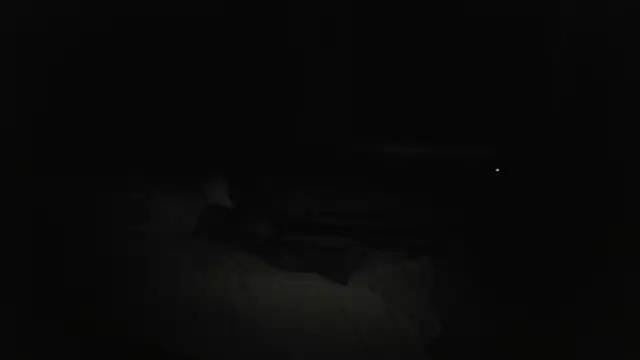 The_Real_aDDix269 webcam