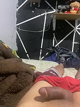 Polladuraparati25