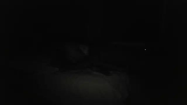 the_real_addix269 - The_Real_aDDix269's free webcam - UK Sex Cams