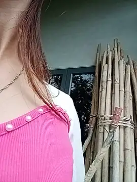 gogo-min webcam