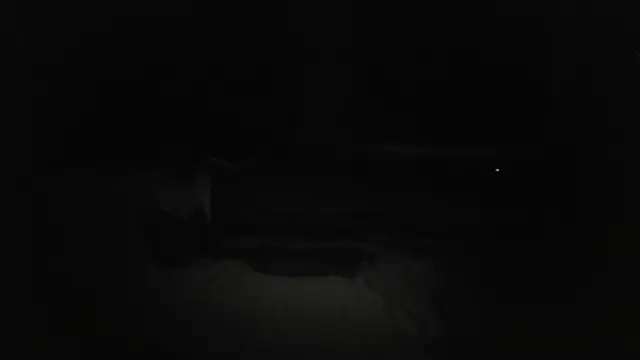 The_Real_aDDix269
