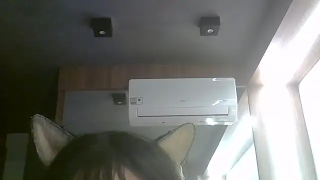 SkinnyKitten webcam