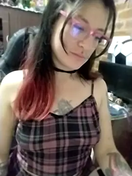 _Alaskamisa webcam