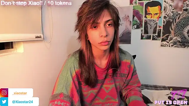 XiaoStar webcam