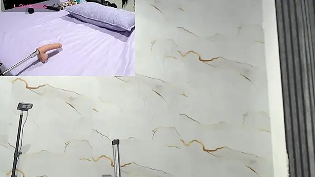 Liaa_cams webcam