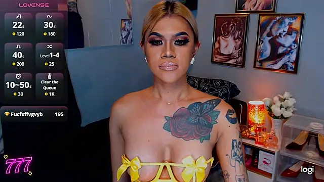 StellaStrong30 webcam