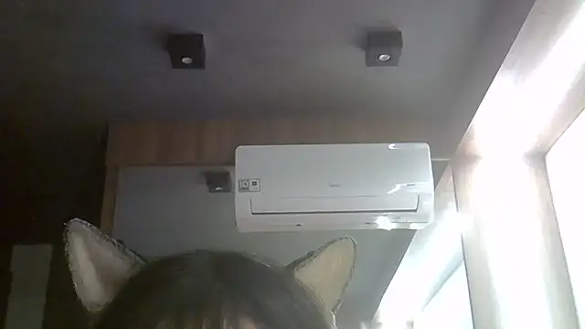 SkinnyKitten webcam