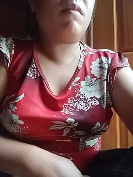 Ip34 webcam