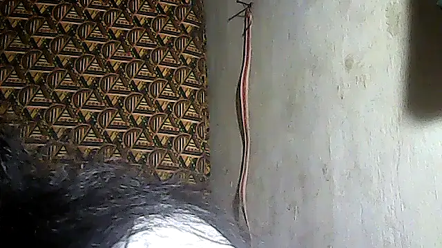 sweetsosie18 webcam