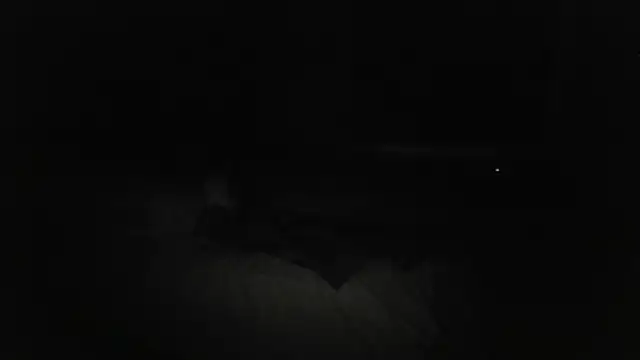 The_Real_aDDix269 webcam